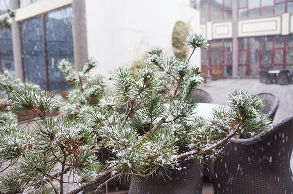 泓文博雅雪景